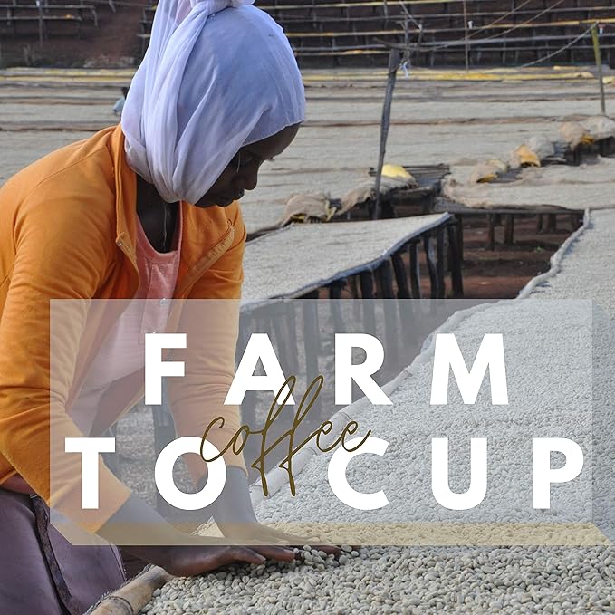 Where Quality Meets Humanity: Inside the Mission of Revocup Coffee Roasters